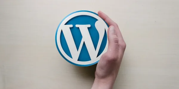 Dłoń trzymająca logo WordPress – wsparcie i pomoc dla stron na WordPress w Chicago